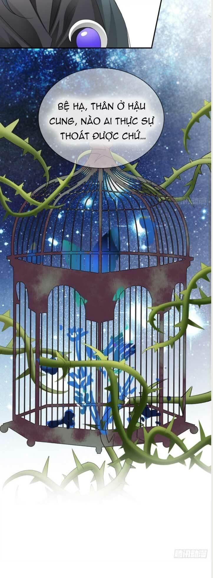 bổn vương muốn nàng chapter 134 13