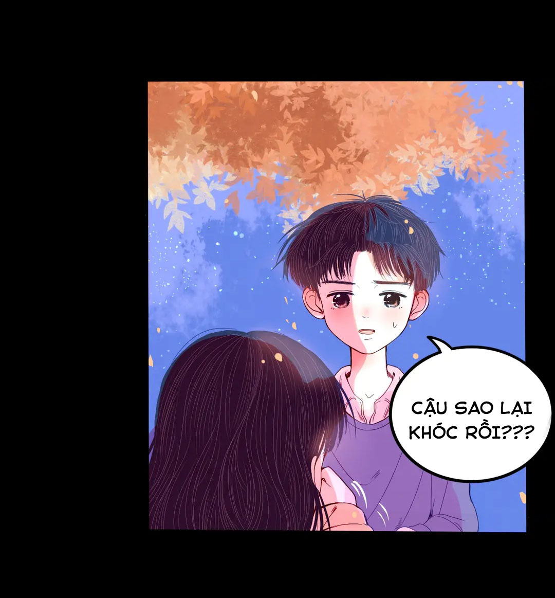 không có mưa gió thì sao có nắng chapter 23 36