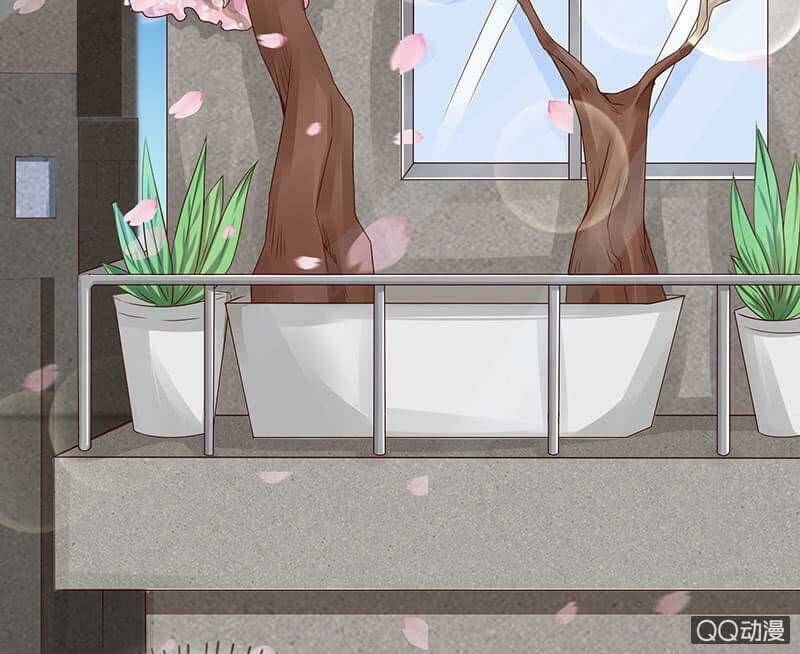 băng sơn học trưởng không được chọc chapter 53.1 20