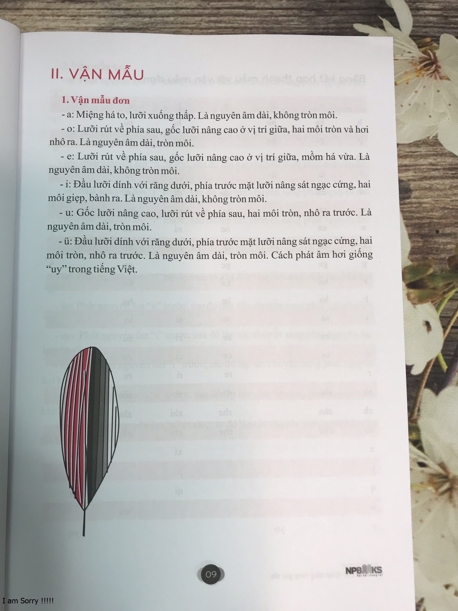 Combo 2 sách: Giáo trình tự học tiếng Trung giao tiếp (Tam ngữ Anh - Trung - Việt) và Sách bài tập thực hành
