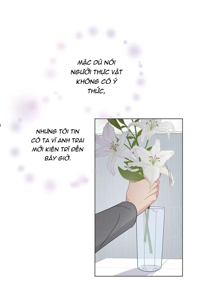 hôm nay nam giả trang nữ vẫn chưa được cầu hôn! chapter 74 9