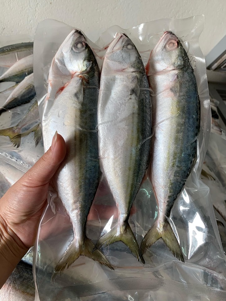 CÁ BẠC MÁ TƯƠI - khay 500g
