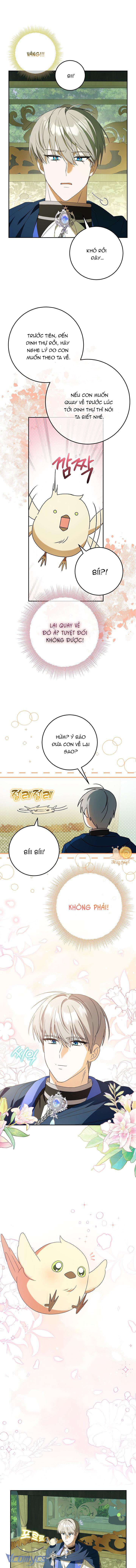 nàng chim được dinh thự sói yêu thương chapter 5 7