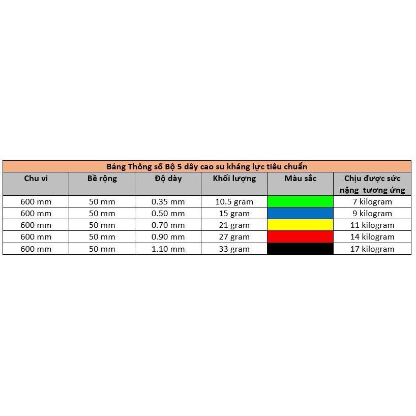 Bộ 5 Dây Kháng Lực - Bộ Dây Đàn Hồi Tập Gym Tập Mông Bằng Cao Su Tự Nhiên Thân Thiện Môi Trường - Không Mùi Hãng Amalife