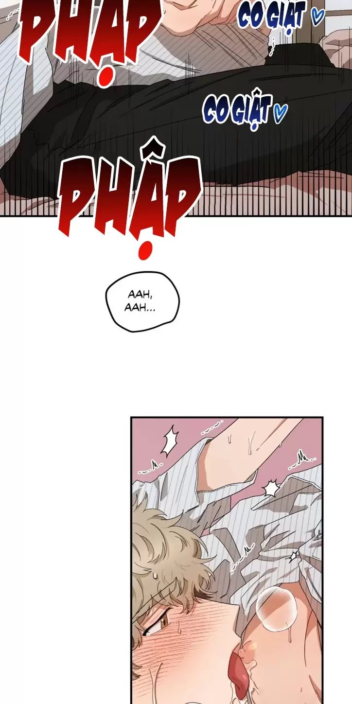 liveta chapter 25 23