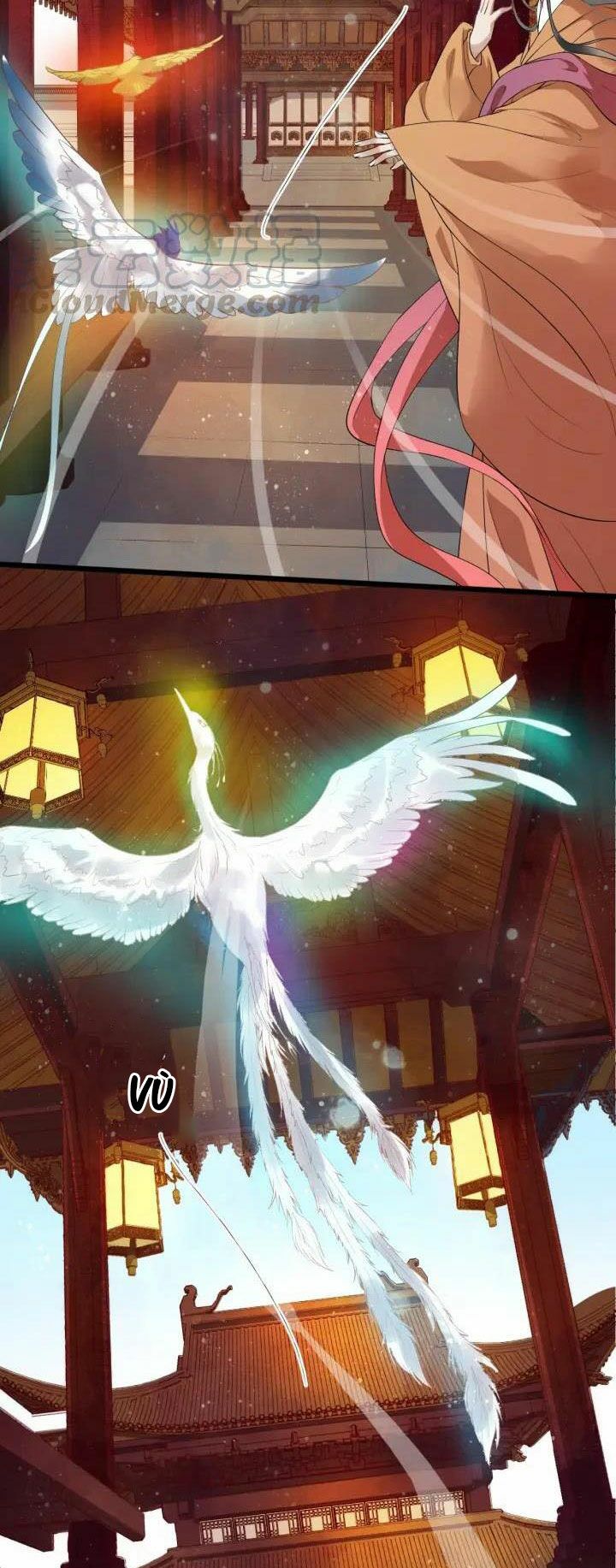 bồng sơn viễn 2 chapter 18 17