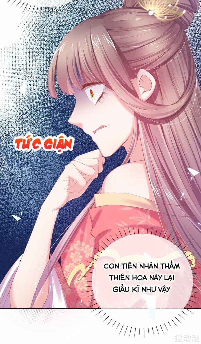 thị huyết y phi chapter 66 44