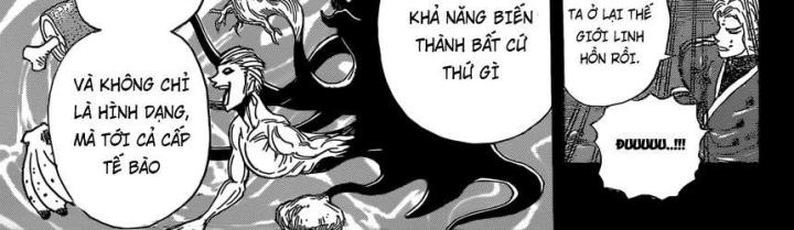 thánh tỏi sành ăn chapter 351 29