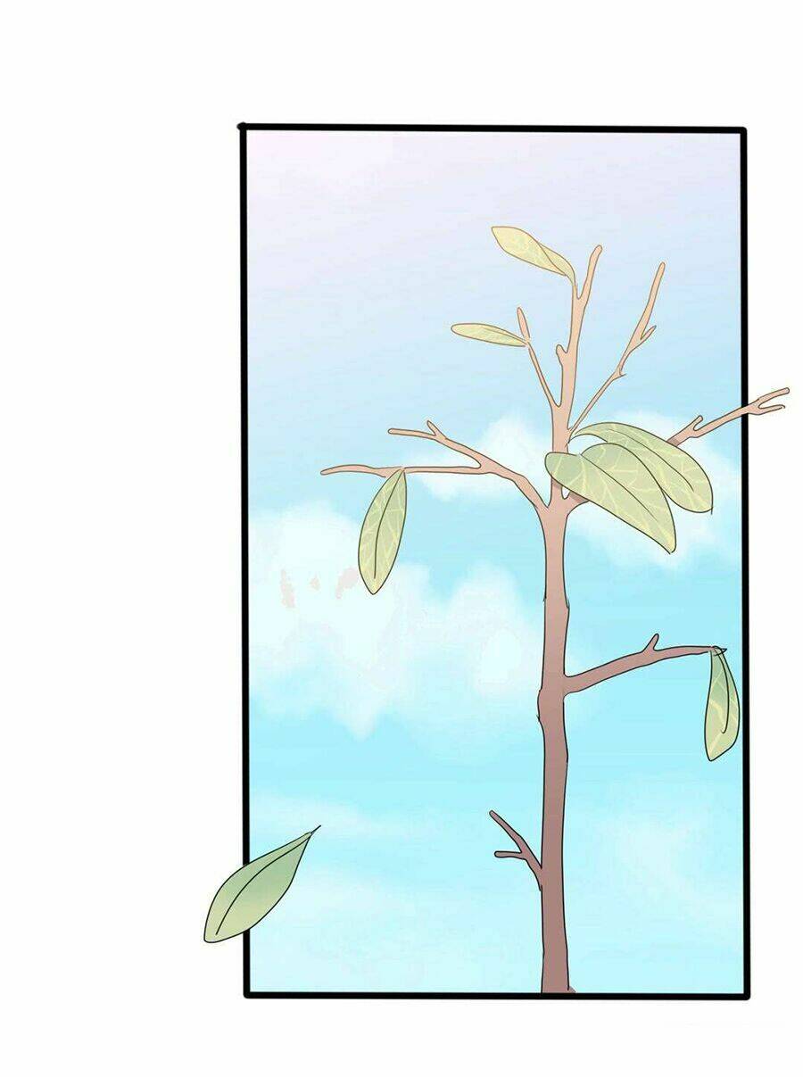 ngạo kiều tổng tài sủng điềm thê chapter 50 41