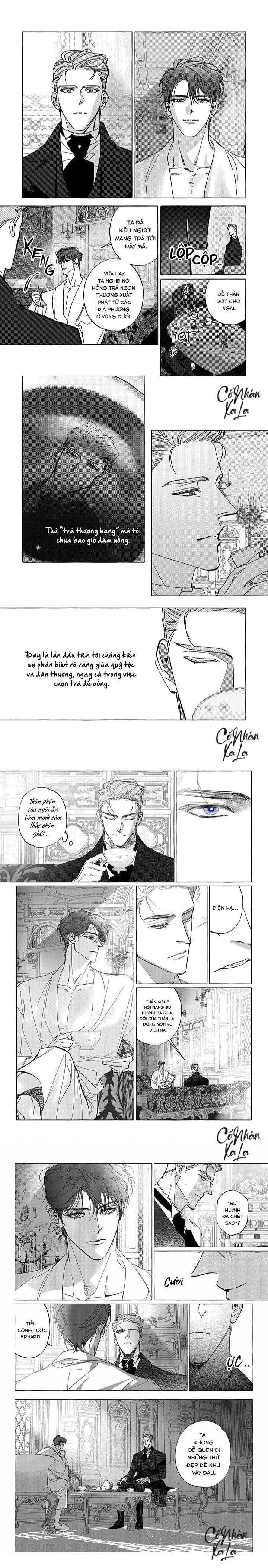 perle chapter 6 4