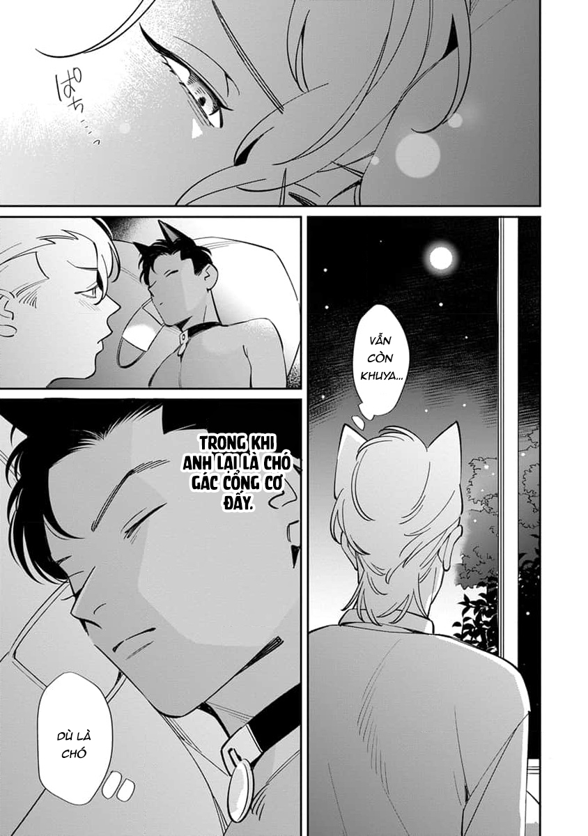 mềm mại xinh đẹp đều là em chapter 3 15