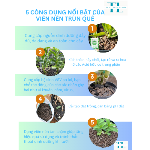 Phân trùn quế Sfarm dạng viên nén cao cấp bao 1kg dùng cho phong lan, hoa cảnh các loại cây