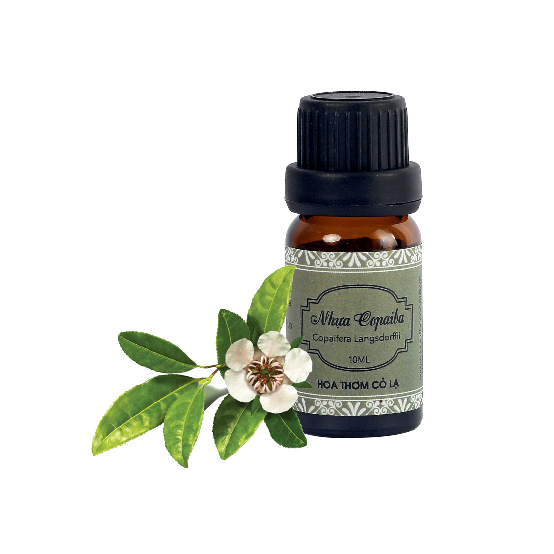 Tinh Dầu Nhựa Copaiba - Copaiba Balsam Essential Oil 10ml - Hoa Thơm Cỏ Lạ