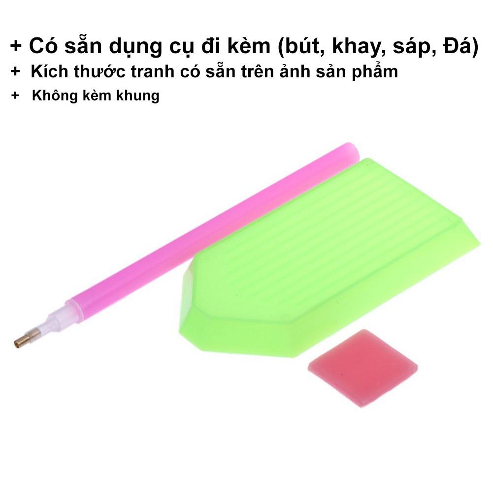 Bộ tranh đính đá 5D họa tiết cô gái xinh đẹp độc đáo kích thước 30x40cm DIY dùng trang trí nhà cửa