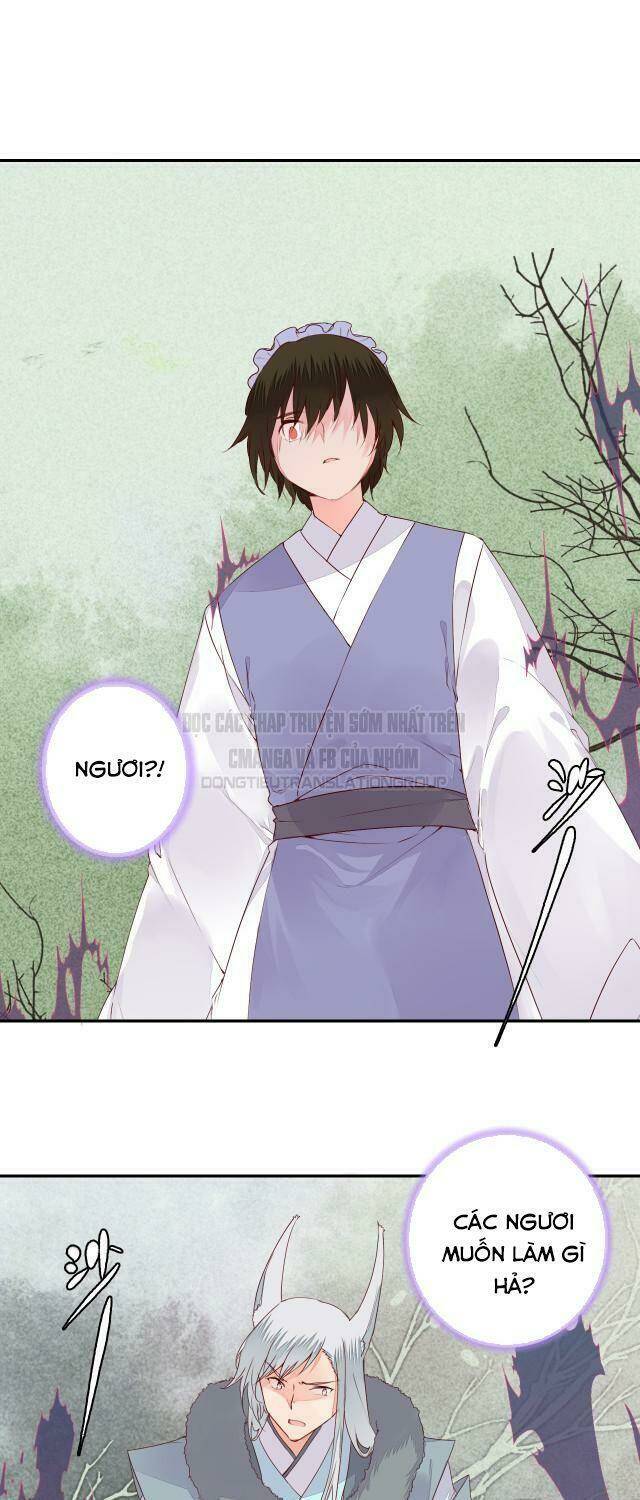 đốt đào hoa chapter 53 4