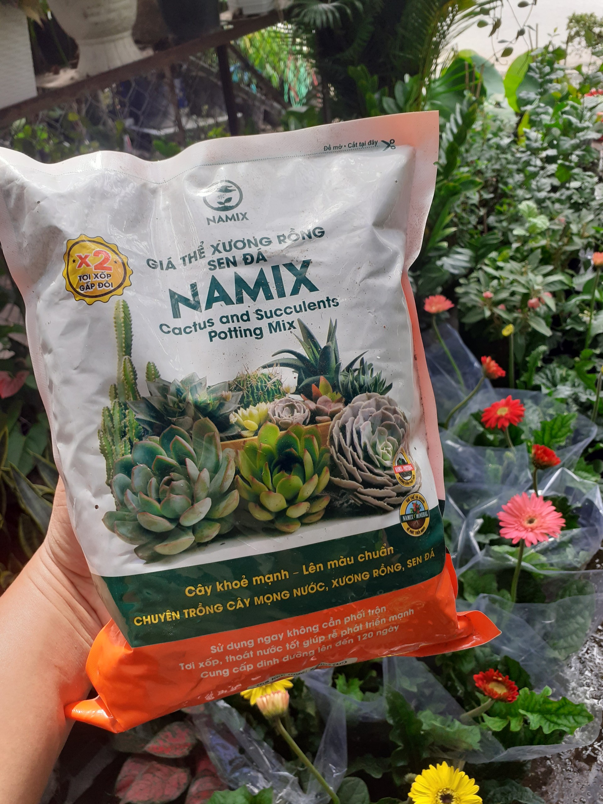 Giá thể xương rồng và sen đá NAMIX túi 2dm3 .