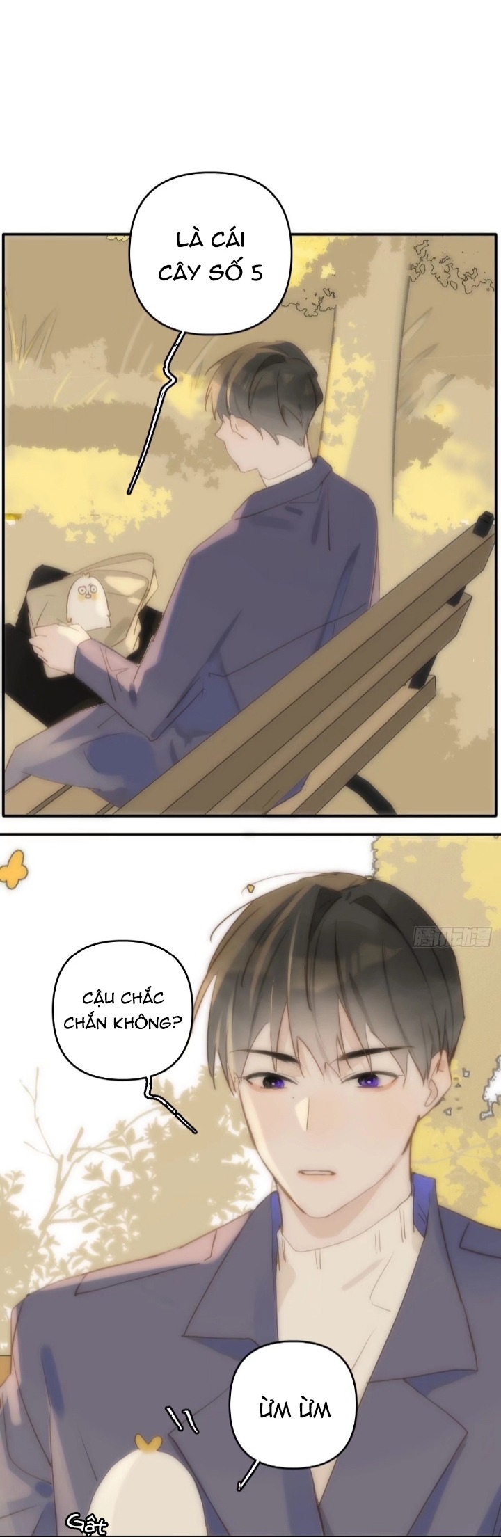 đêm đầy sao nói với em chapter 23 23