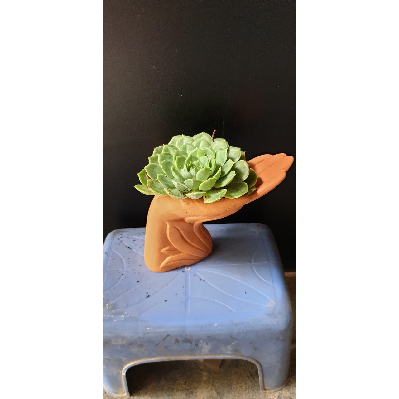 Chậu đất nung hình bàn tay xinh xắn, kích thước 18x8x14cm, lọt lòng miệng chậu 5cm, sản phẩm không bao gồm cây