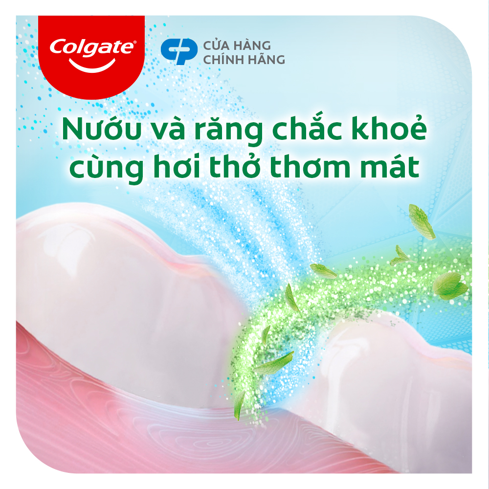 Kem đánh răng Colgate muối thảo dược 225g/tuýp