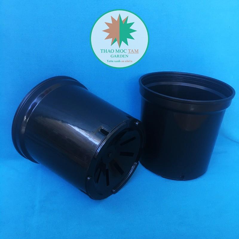 05c Chậu nhựa cứng 18x16cm – Chậu nhựa cứng, dày, miệng vành cứng trồng hoa hồng, hoa chậu