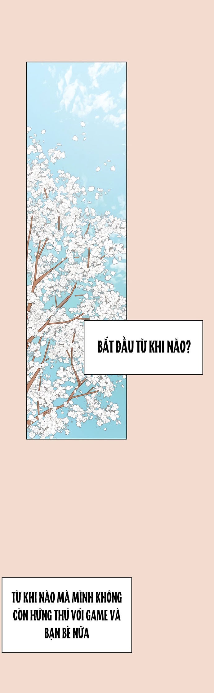 thanh xuân rực rỡ - season of blossom chapter 28 2