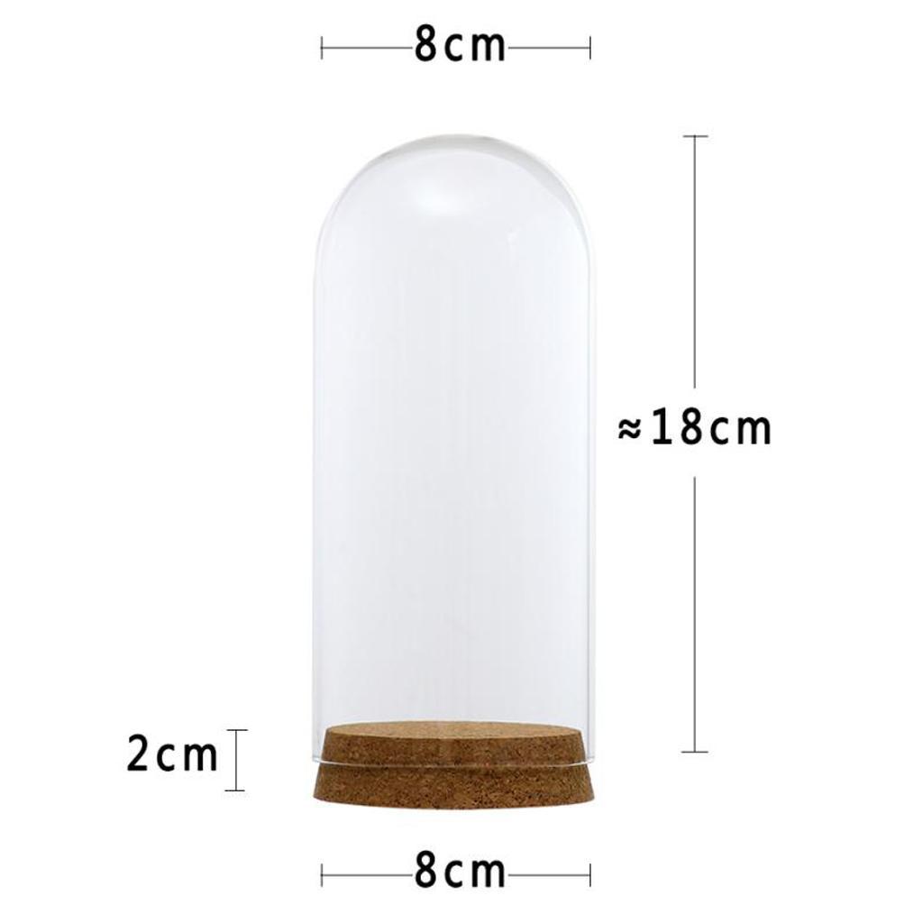 4 Set Glass Cover Landscape Terrarium Container Lid Vase Bottle