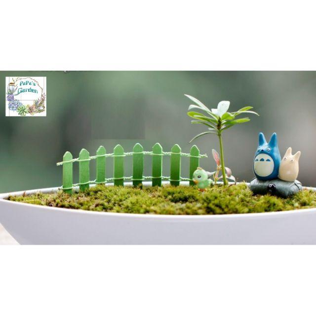 Terrarium tiểu cảnh hàng rào gỗ tiểu cảnh sen đá sân vườn