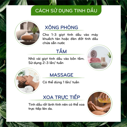 Tinh dầu Vỏ Cam nguyên chất 10ml