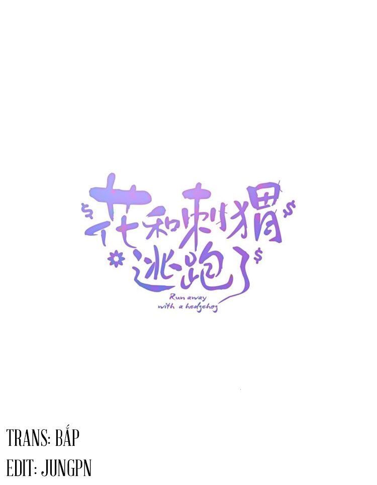 hoa và nhím cùng bỏ trốn chapter 1 1