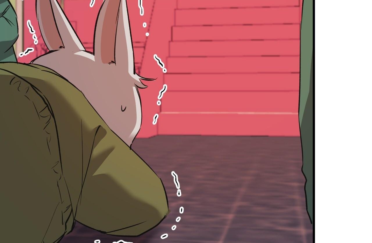 những chú thỏ của hapypy chapter 62 64