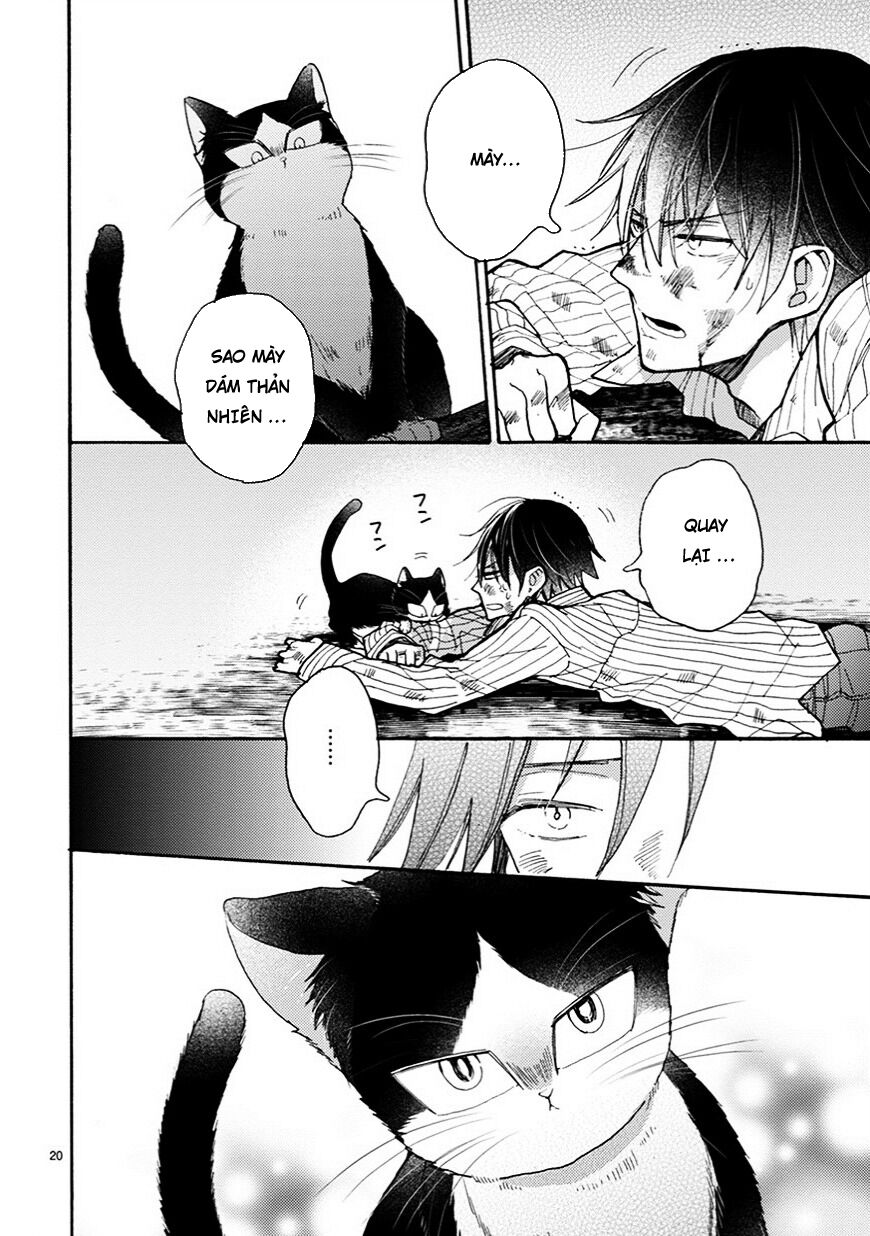 doukyonin wa hiza, tokidoki, atama no ue chapter 5.5 7