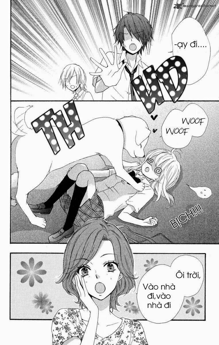 tình yêu của hiyo chapter 20 16