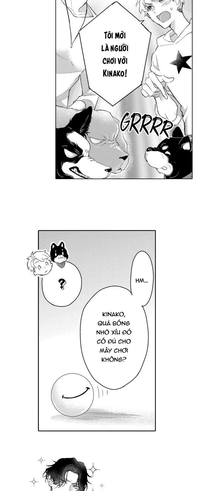 hiyoko-chan to harinezumi-kun chapter 3 19