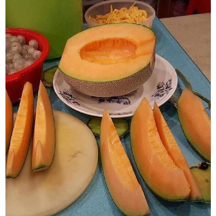 Combo 5 gói hạt giống dưa lưới vỏ sọc ruột cam -gói 10 hạt-tặng kèm gói phân bón lót