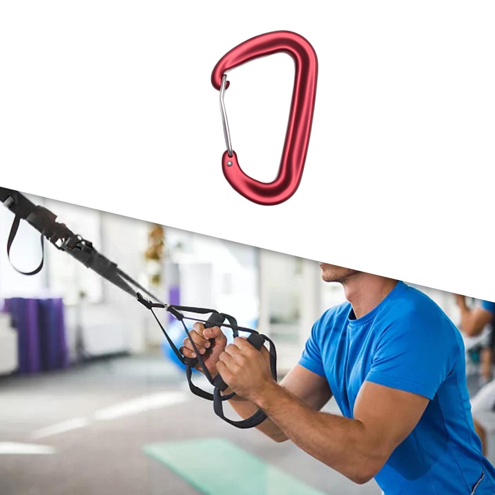 Carabiner Clip Heavy Duty Caribeaners Hardware Metal Spring Snap Hook Climbing Carabiner D Shaped Carabiner for Backpack Fishing Harness