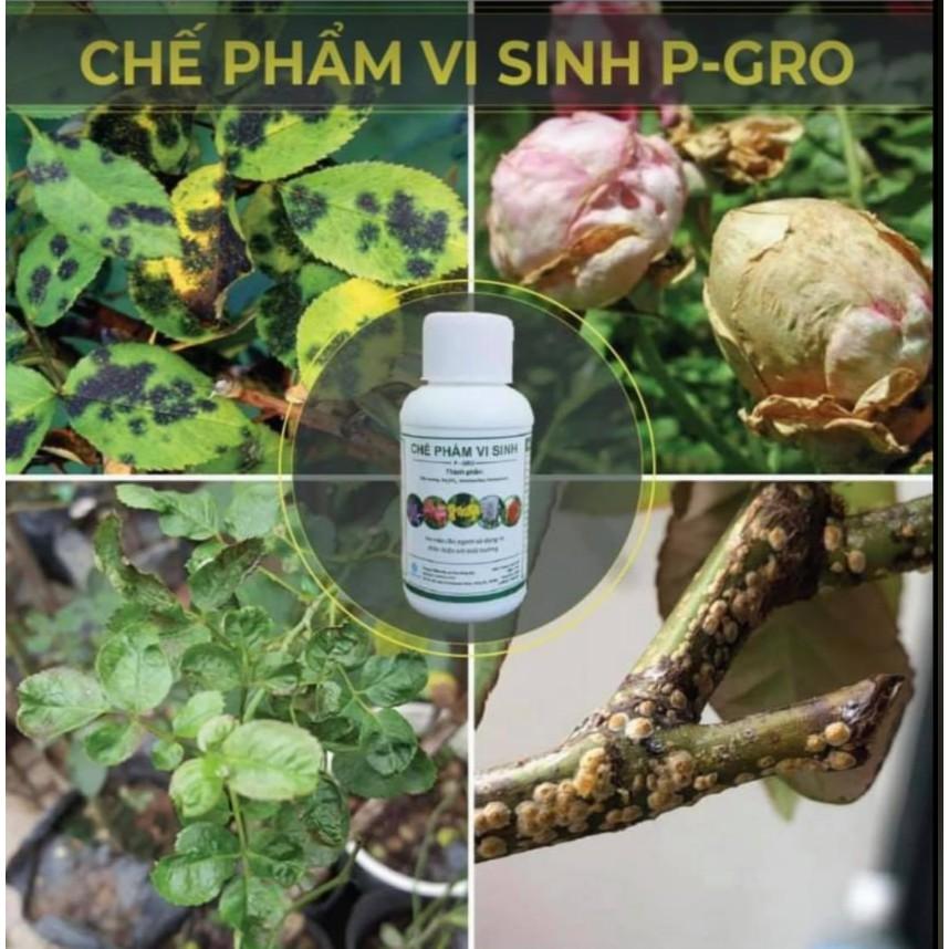 Chế phẩm vi sinh từ đậu tương P-GRO lọ 100gram