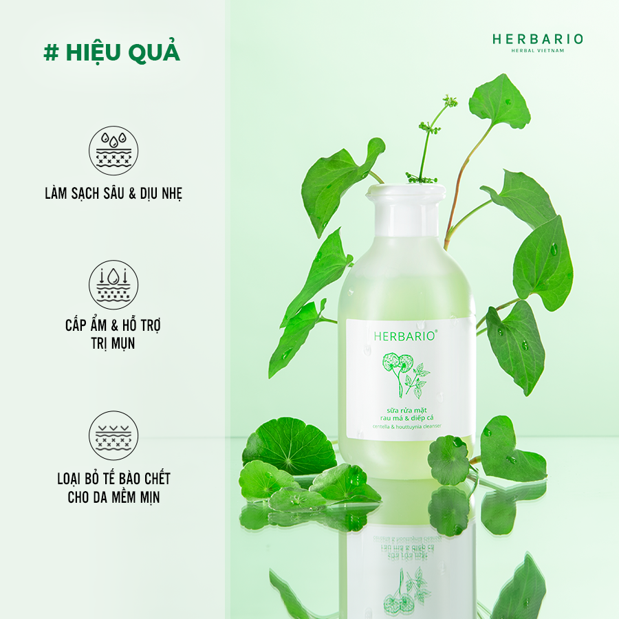 Bộ 3 rau má và diếp cá Herbario chăm sóc da mụn: Nước tẩy trang 300ml + Sữa rửa măt 200ml + Xịt khoáng 100ml