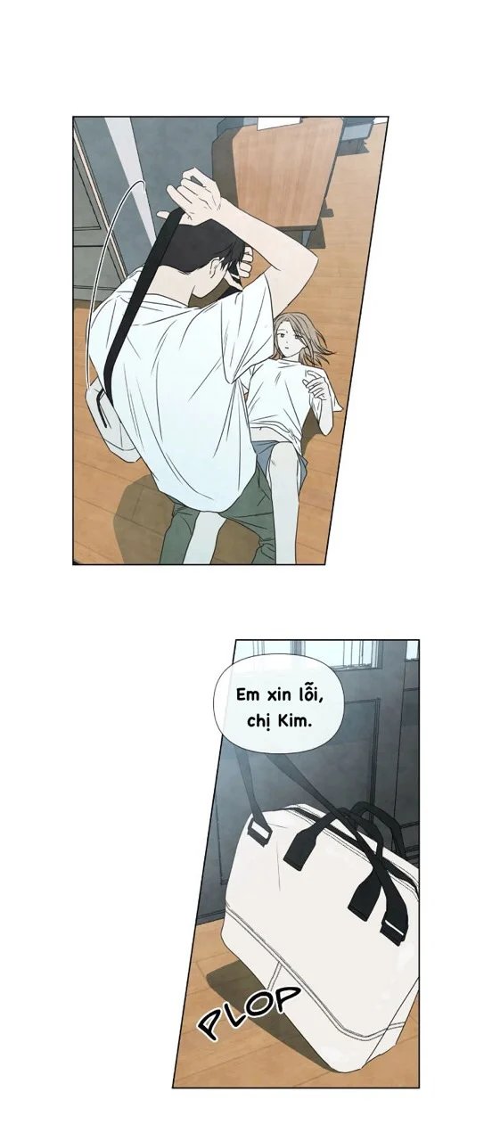 summer solstice point chapter 14 3