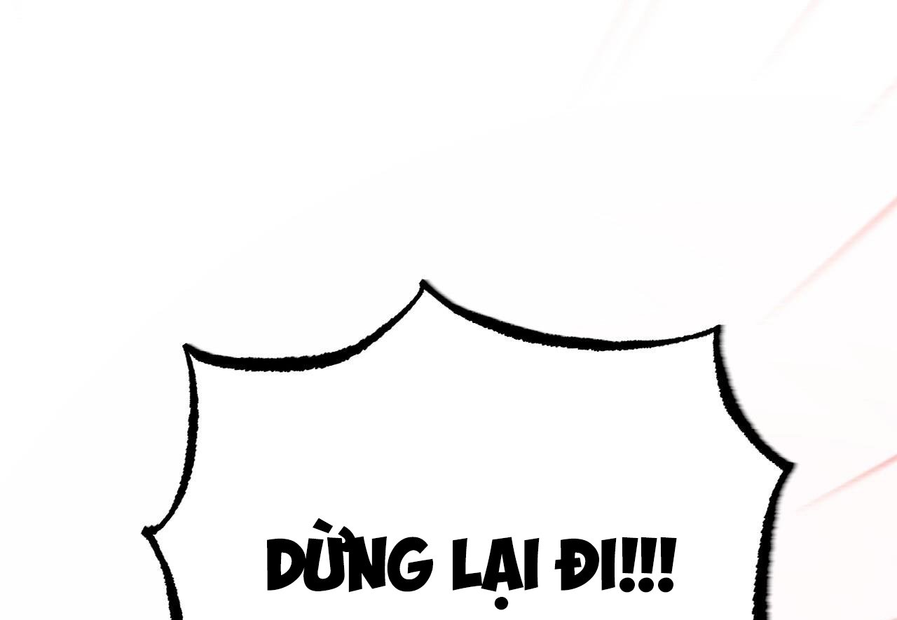 những chú thỏ của hapypy chapter 60 26