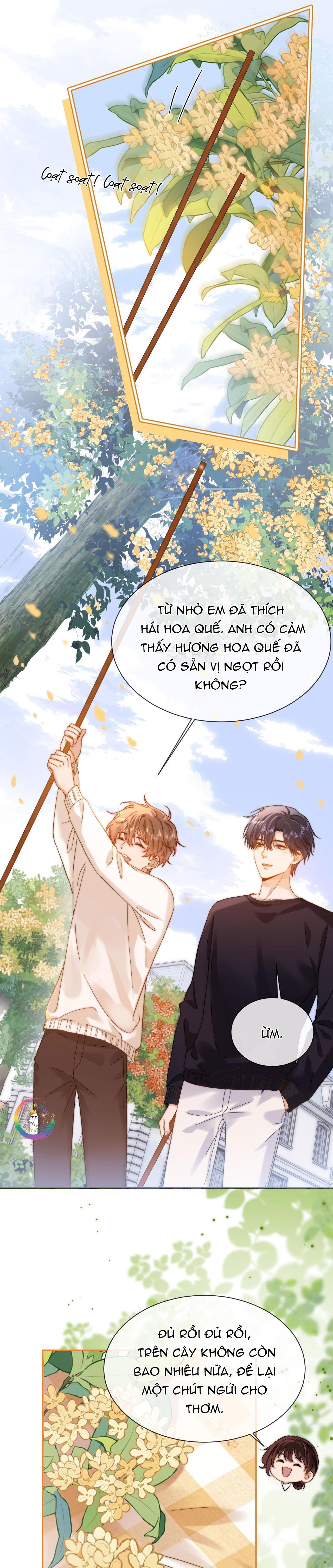 Chất Dị Ứng Cực Cute chapter 33