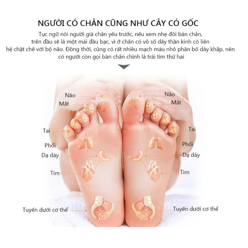 [Tặng Máy Massage Chân] Ghế Massage Toàn Thân Cao Cấp Dành Gia Đình Đệm Ghế Mát Xa Toàn Thân Chuyên Sâu Hồng Ngoại Công Suất Mạnh Thư Giãn Giảm Đau Mỏi Stress Hiệu Quả - Hàng Chính Hãng