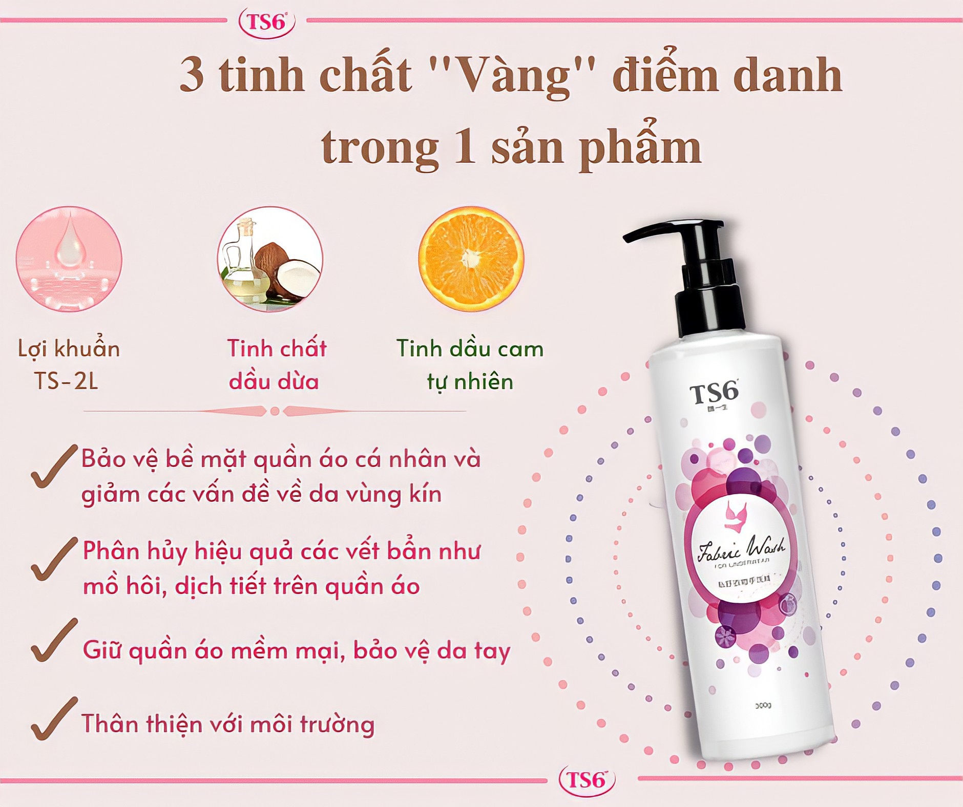 Nước giặt đồ lót TS6