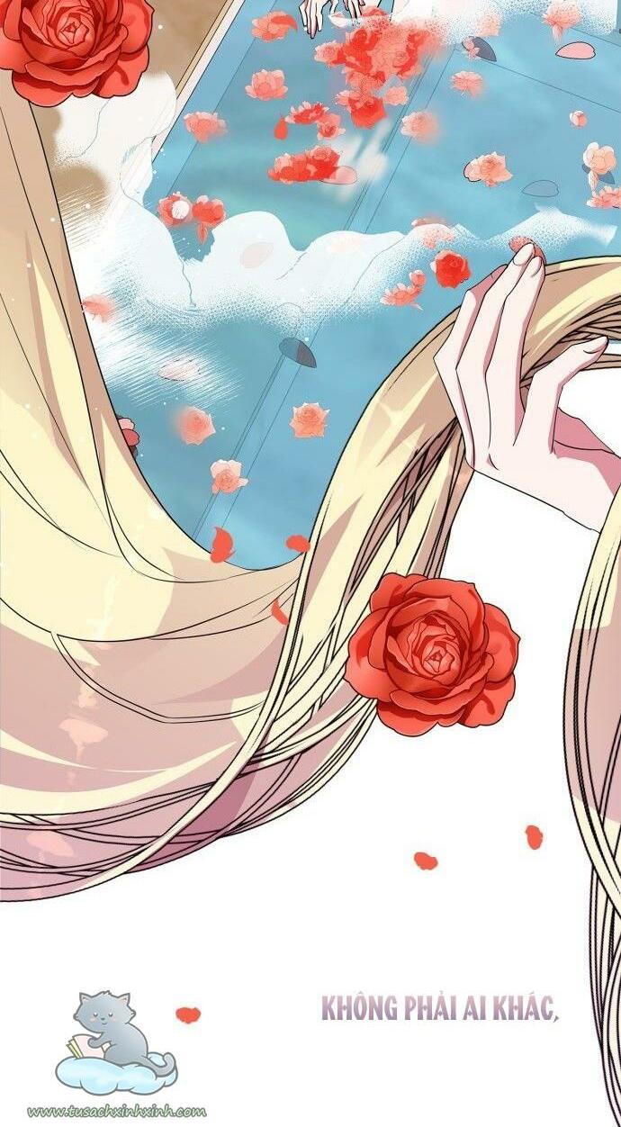 tôi đang nuôi dưỡng một con quái thú chapter 63 67