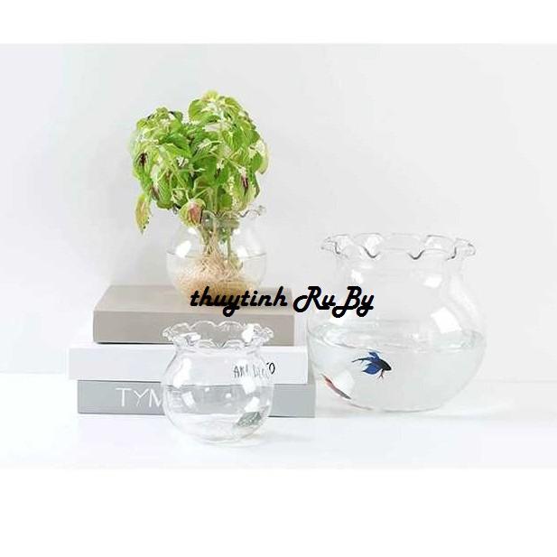 Bể Cá Thủy Tinh Mini, Chậu Cây Thủy Sinh Để Bàn B1