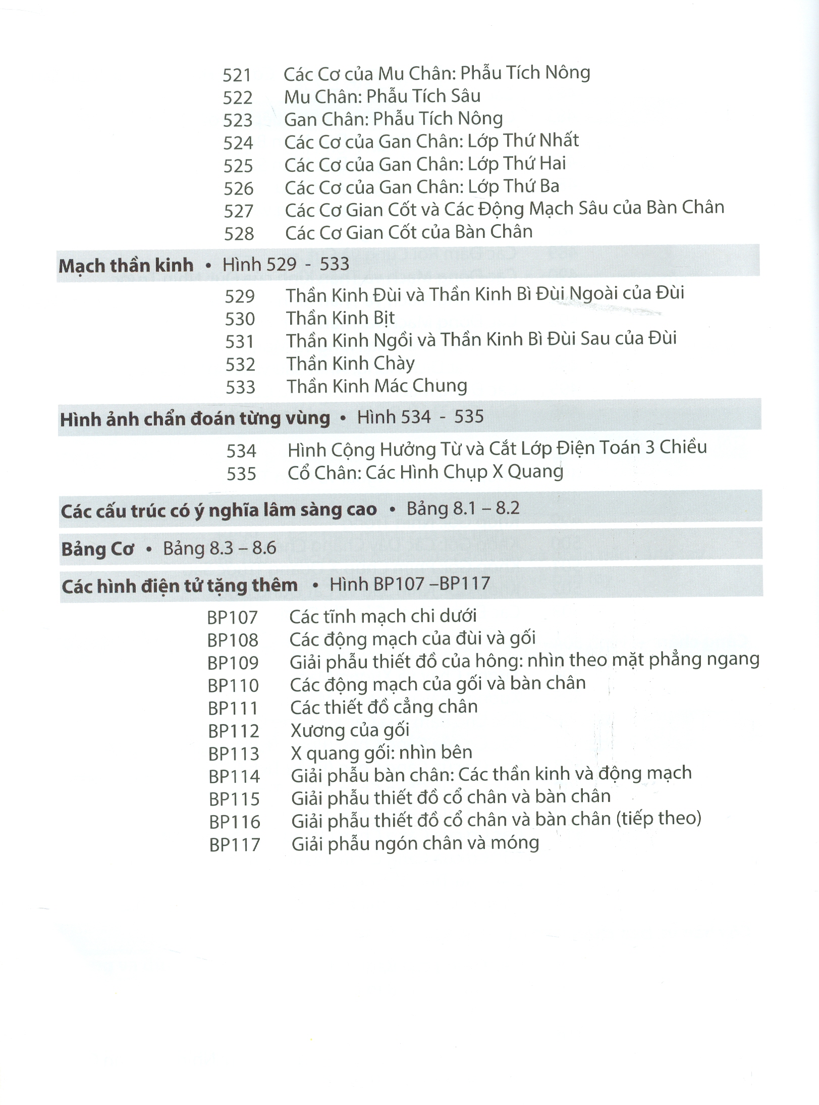 ATLAS GIẢI PHẪU NGƯỜI - In Lần Thứ IV (năm 2022) Theo Ấn Phẩm Lần Thứ VII Của Nxb Elsevier Có Sửa Chữa Và Bổ Sung (ATLAS OF HUMAN ANATOMY  Seventh Edition)