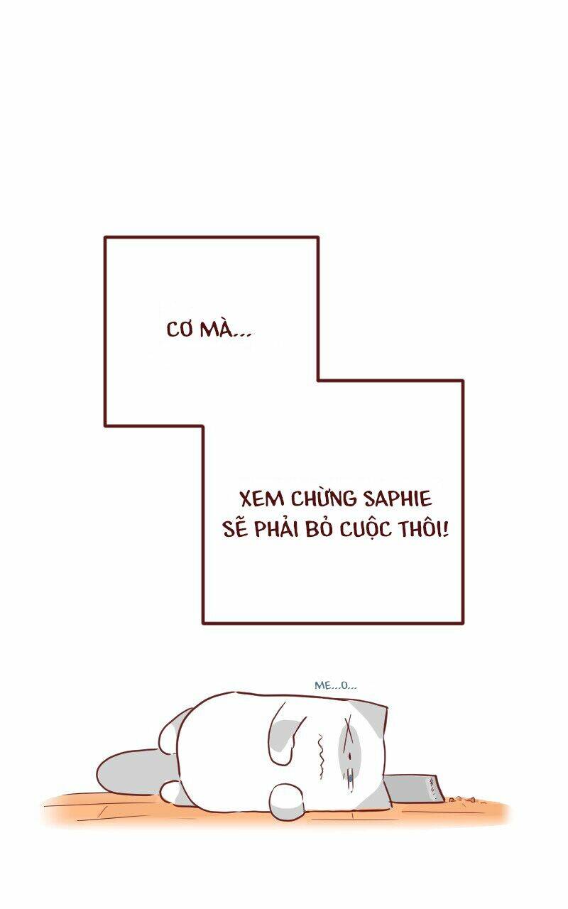 saphie: chú mèo một mắt chapter 23 7
