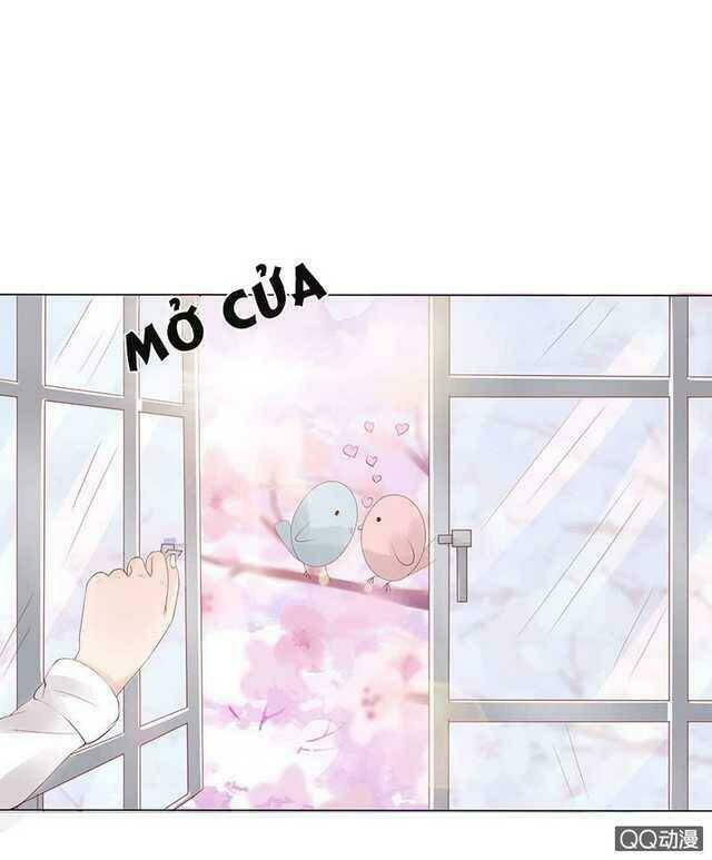 băng sơn học trưởng không được chọc chapter 40.1 10