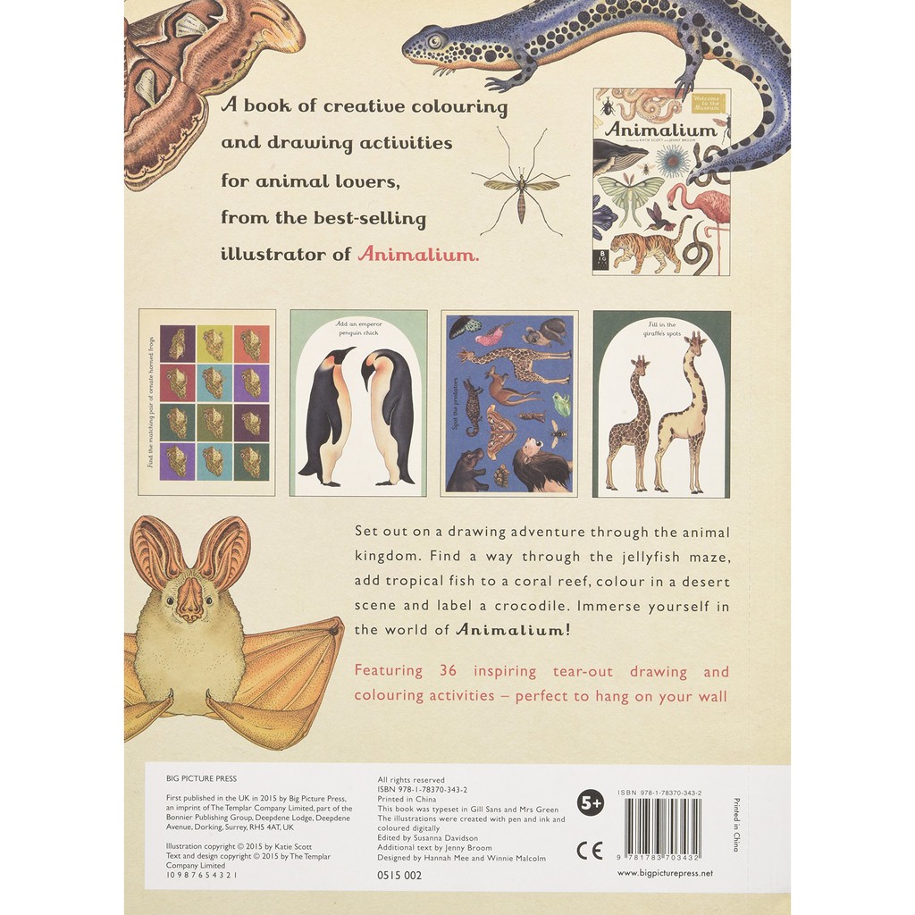 Sách : Animalium Activity Book - Tìm Hiểu Hoạt Động Của Các Loài Động Vật