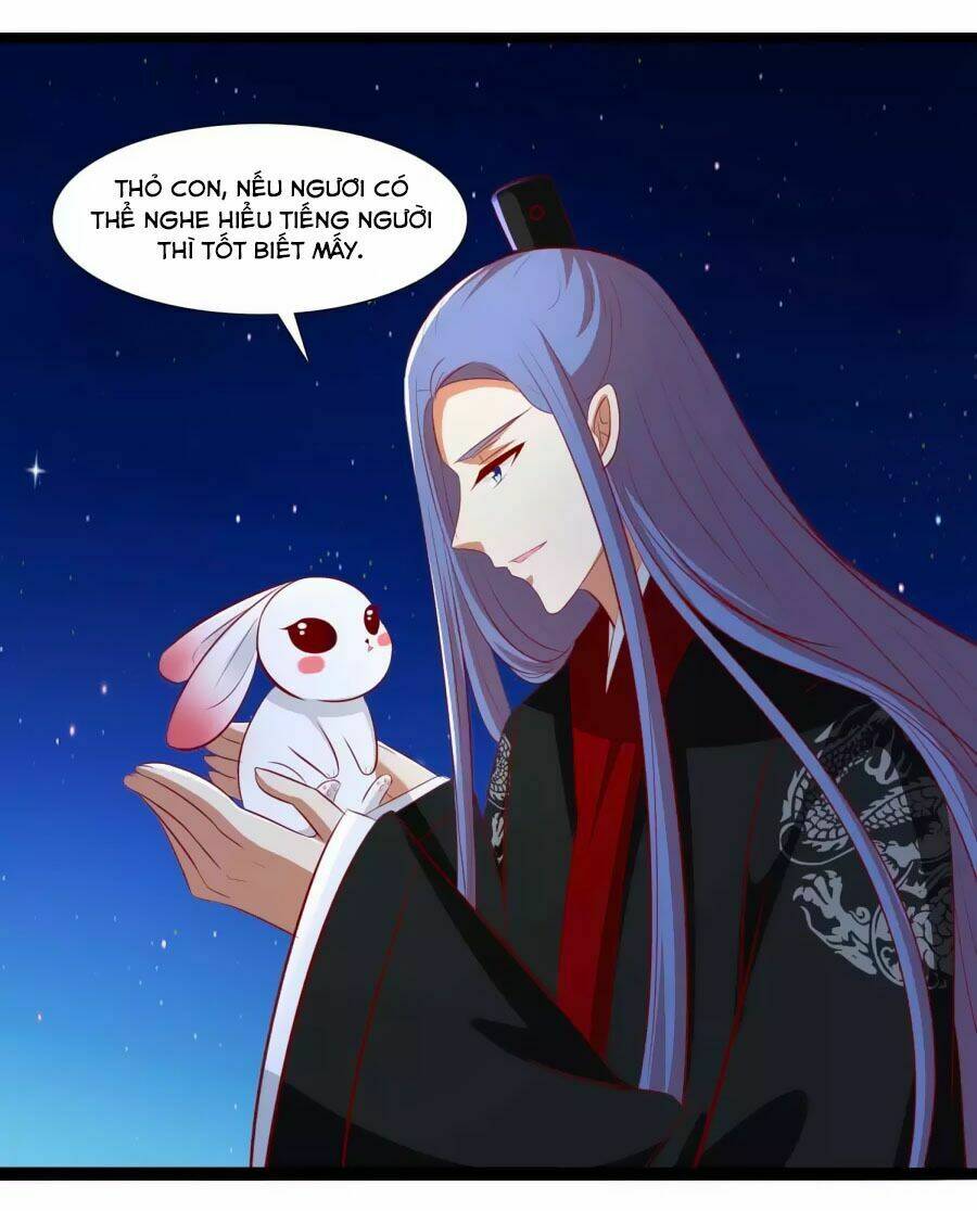 thỏ yêu tiểu vương phi chapter 44 24