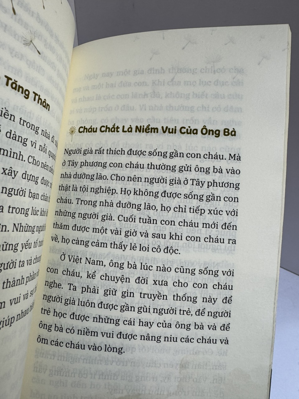 (Bìa mềm, tái bản lần 1) AN LẠC TỪNG BƯỚC CHÂN - Thích Nhất Hạnh - Thái Hà - NXB Lao Động